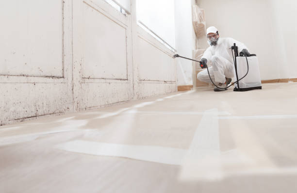 24/7 Emergency Mold Remediation experts in Cedar Bluff, VA