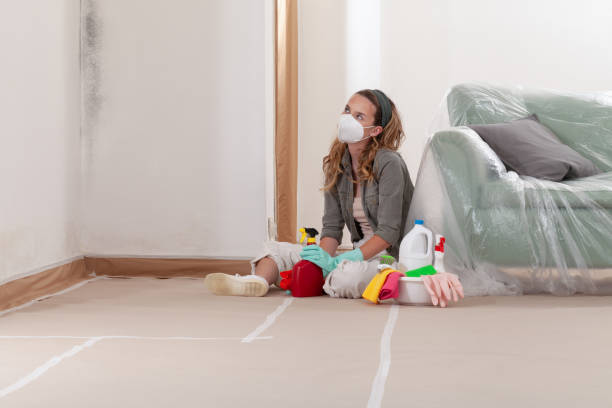 Reliable Mold Remediation contractor in Cedar Bluff, VA by 24 Hour Mold Removal
